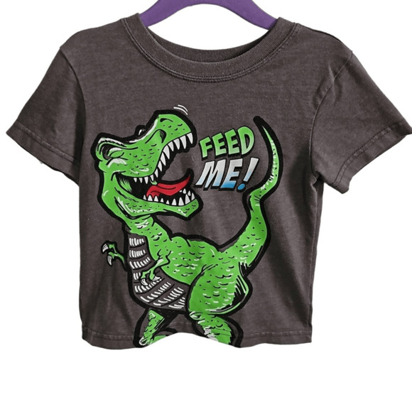 Garanimals Kids 2T Short Sleeve Graphic Dinosaur Tee Gray Feed Me T Rex Shirt - Picture 1 of 4